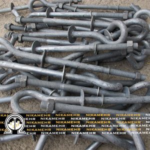 دم خوکی