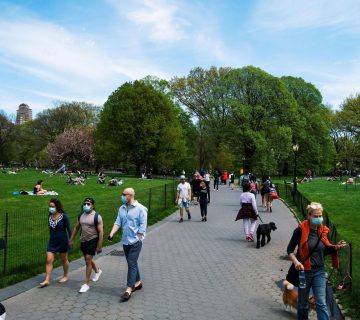 تأثیر پایه چراغ روشنایی در زیبایی پارک‌ها و فضای سبز شهری