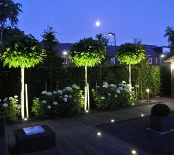 پایه چراغ روشنایی با مدل‌های متنوع، کدام را انتخاب کنیم؟